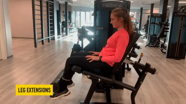 Leg Extensions