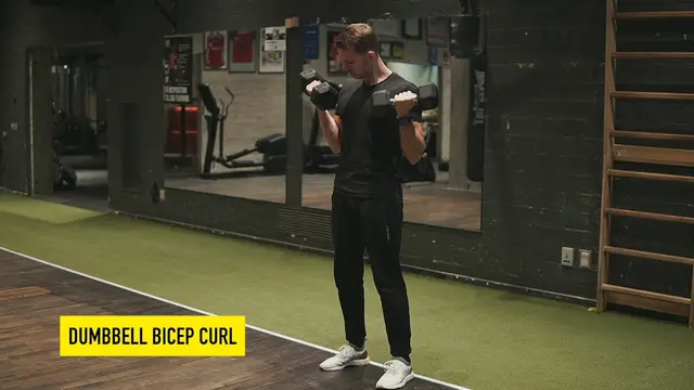 Dumbbell Bicep Curl