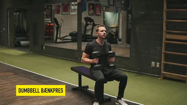 Dumbbell bænkpres