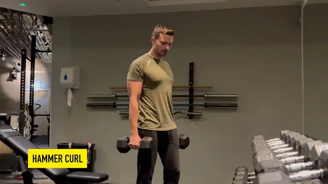 Dumbbell Hammer Curl