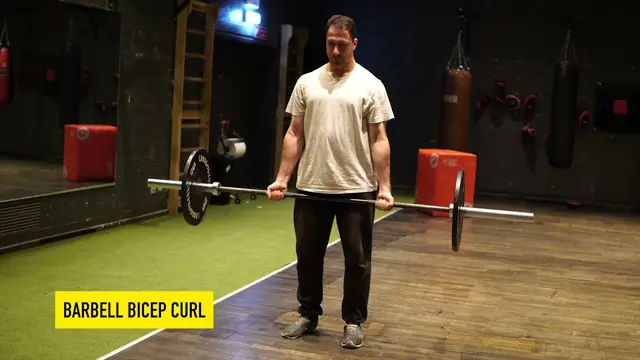 Barbell Bicep Curl