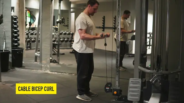 Cable Bicep Curl