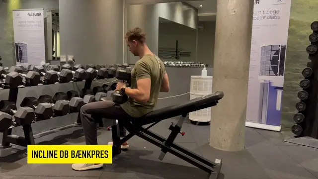 Incline Dumbbell Bænkpres